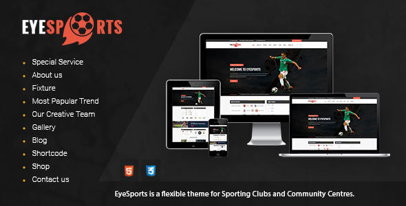 Eye Sports Preview Wordpress Theme - Rating, Reviews, Preview, Demo & Download