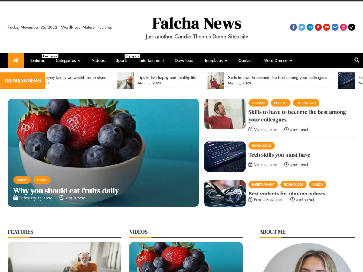 Falcha News Preview Wordpress Theme - Rating, Reviews, Preview, Demo & Download