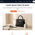 Fancy Store