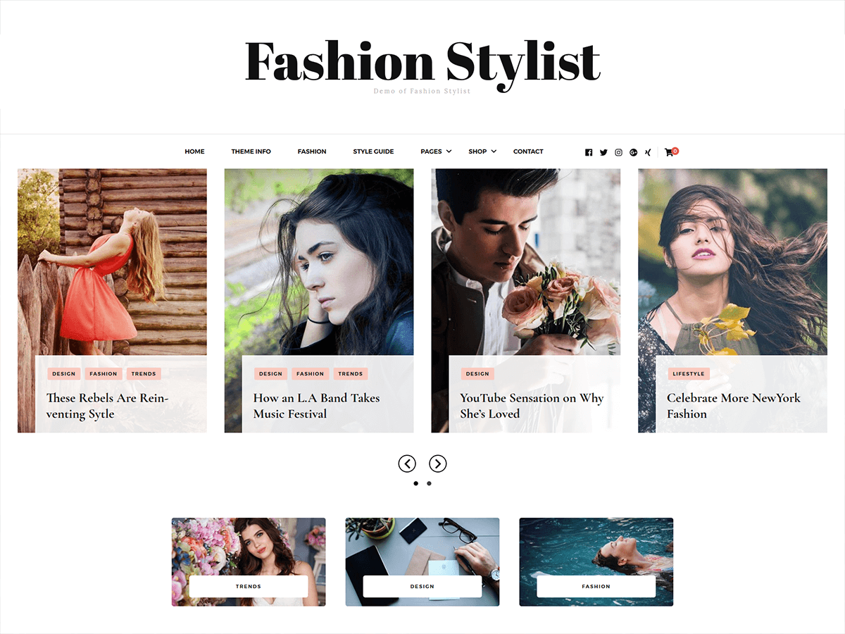 Fashion Stylist Preview Wordpress Theme - Rating, Reviews, Preview, Demo & Download