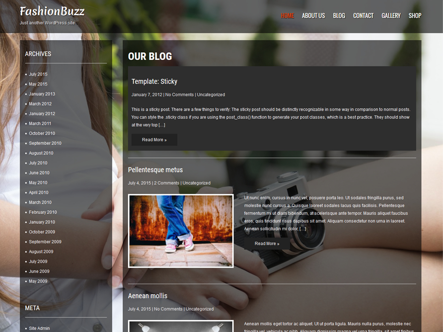 Fashionbuzz Preview Wordpress Theme - Rating, Reviews, Preview, Demo & Download