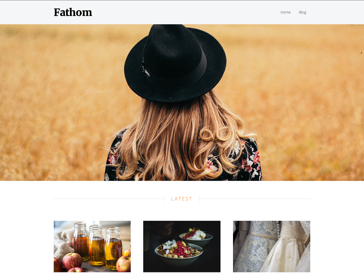 Fathom Preview Wordpress Theme - Rating, Reviews, Preview, Demo & Download
