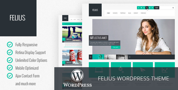 Felius Preview Wordpress Theme - Rating, Reviews, Preview, Demo & Download
