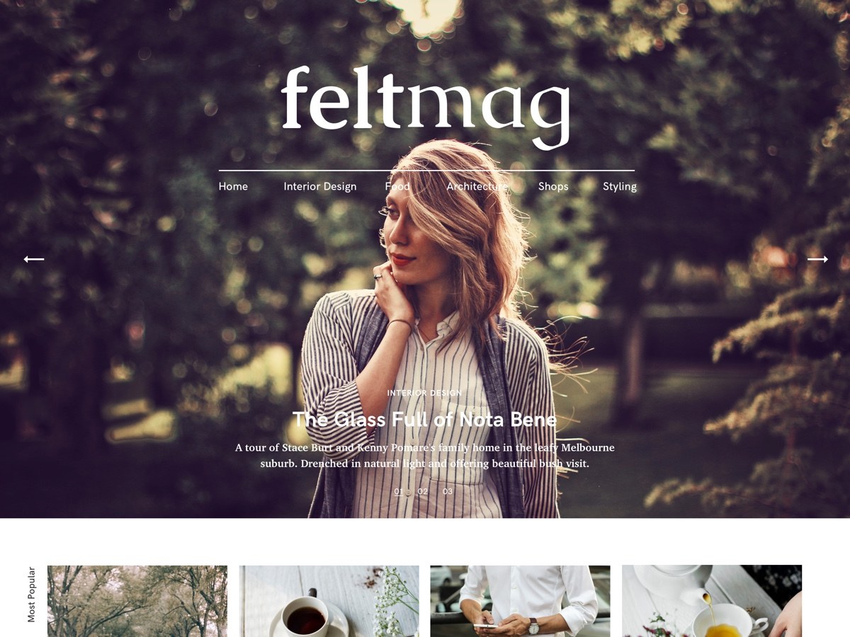 Felt Preview Wordpress Theme - Rating, Reviews, Preview, Demo & Download