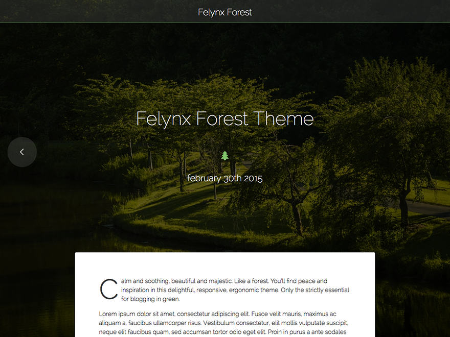 Felynx Forest Preview Wordpress Theme - Rating, Reviews, Preview, Demo & Download