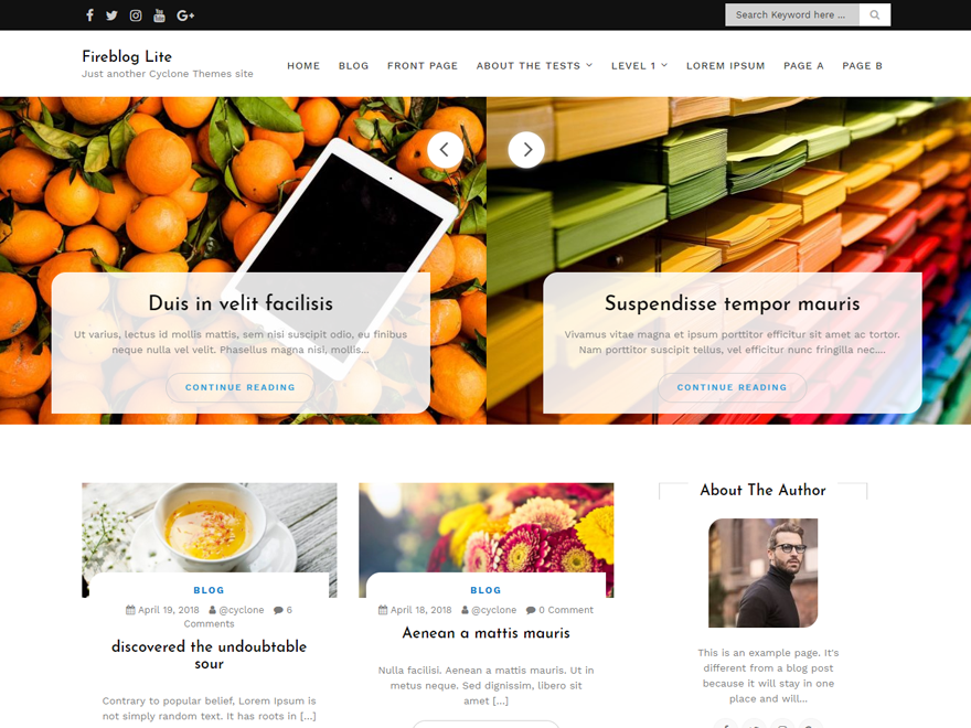 Fire Blog Preview Wordpress Theme - Rating, Reviews, Preview, Demo & Download