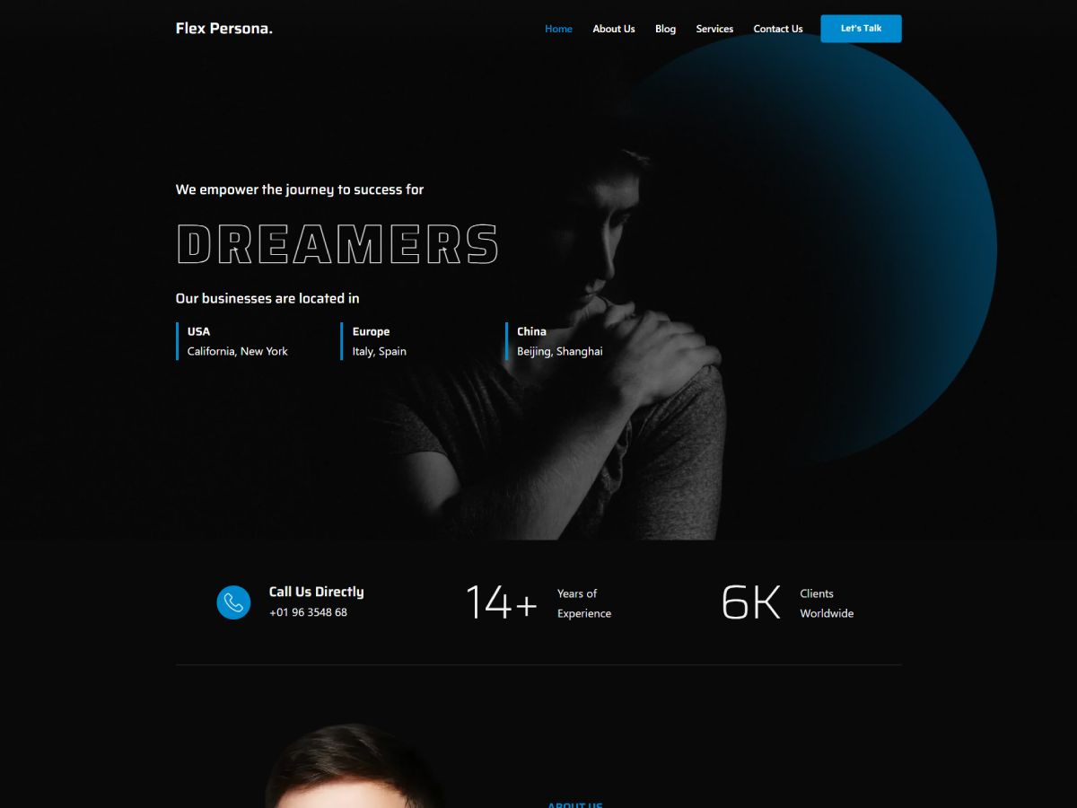 Flex Persona Preview Wordpress Theme - Rating, Reviews, Preview, Demo & Download