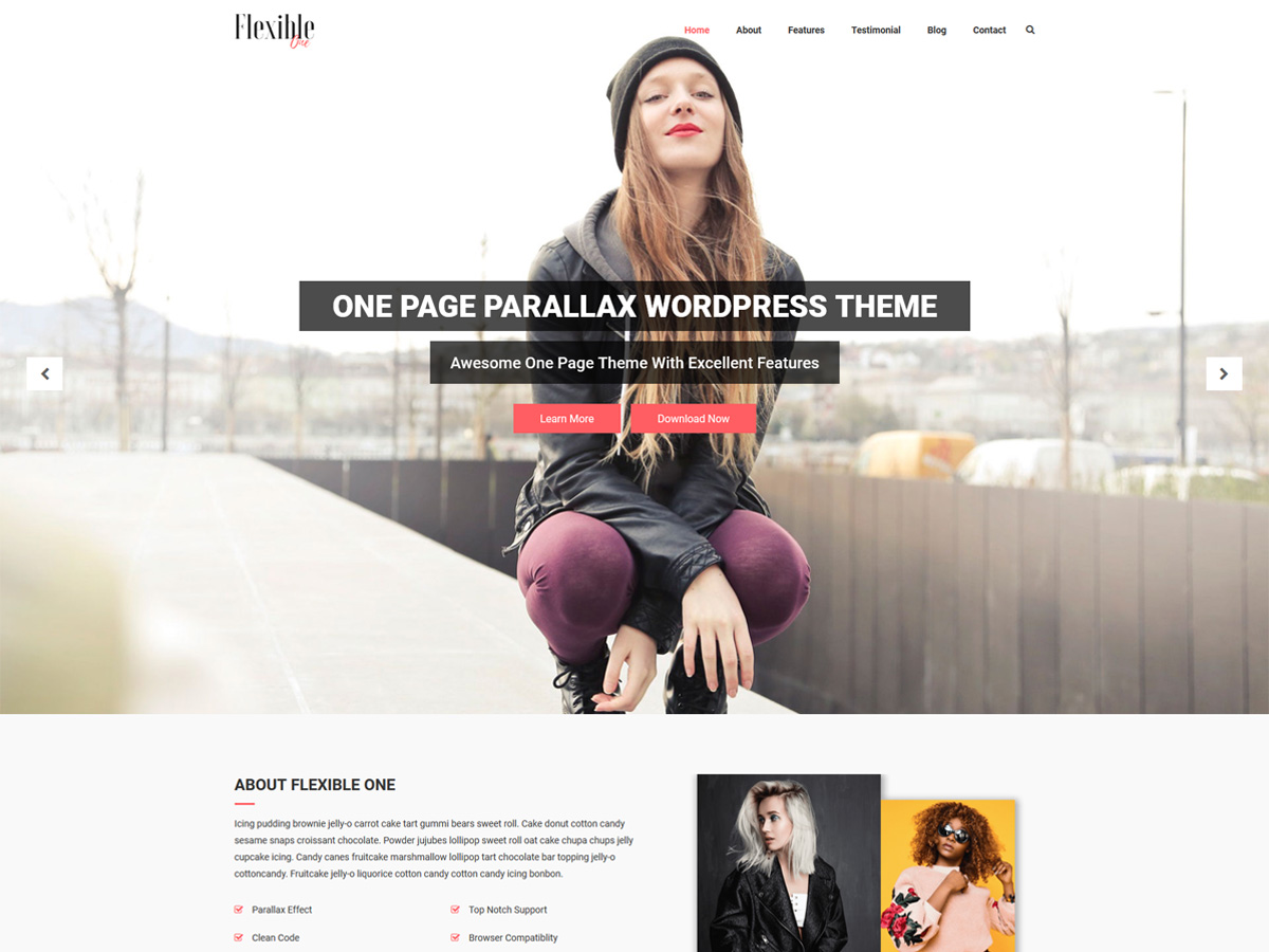 Flexible One Preview Wordpress Theme - Rating, Reviews, Preview, Demo & Download