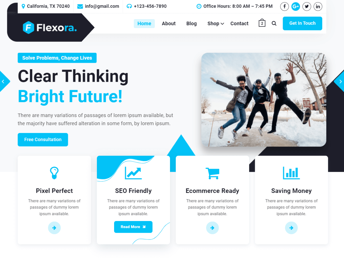 Flexora Preview Wordpress Theme - Rating, Reviews, Preview, Demo & Download