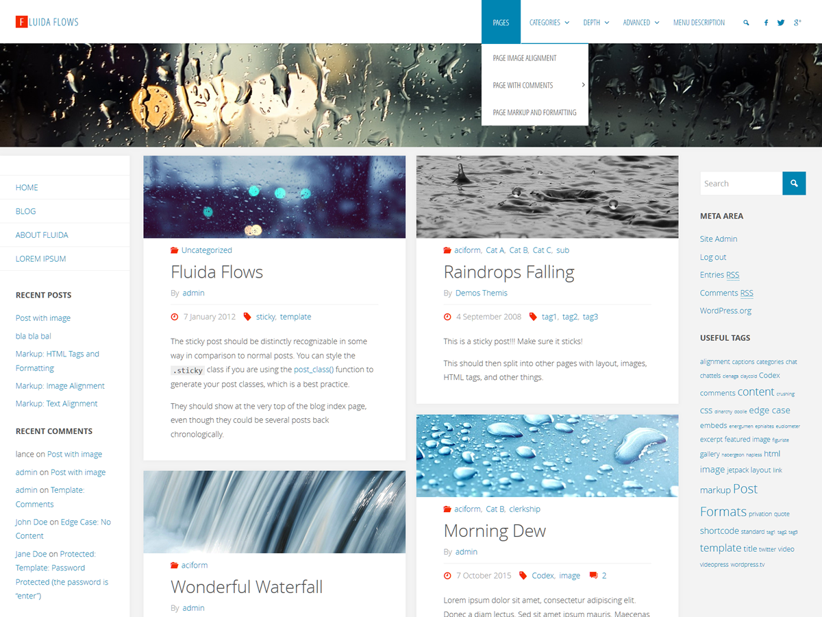 Fluida Preview Wordpress Theme - Rating, Reviews, Preview, Demo & Download