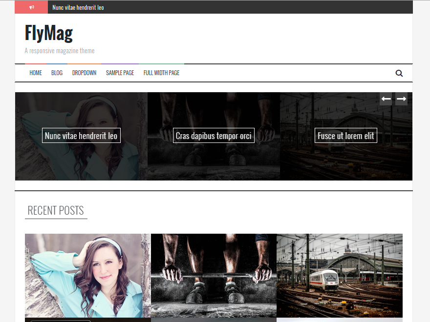 FlyMag Preview Wordpress Theme - Rating, Reviews, Preview, Demo & Download