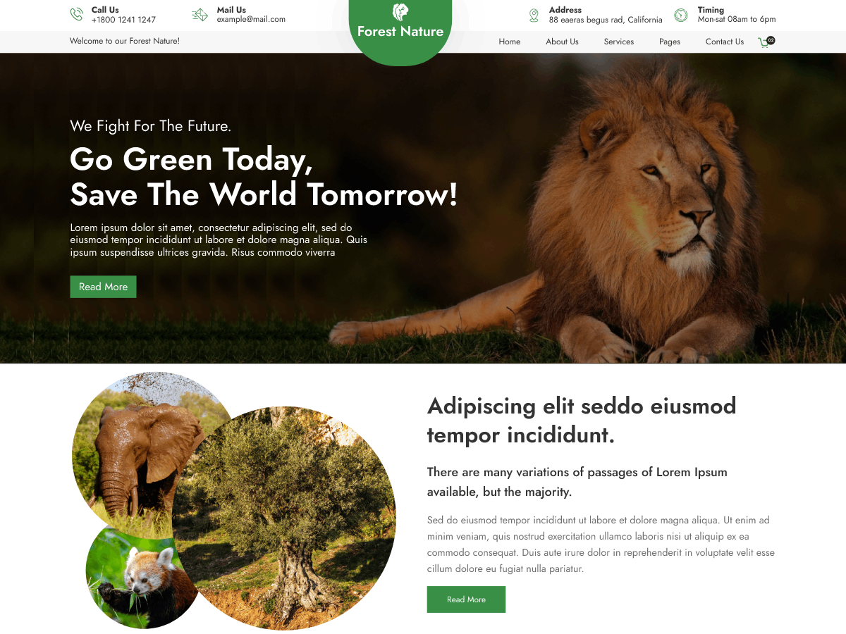 Forest Nature Preview Wordpress Theme - Rating, Reviews, Preview, Demo & Download