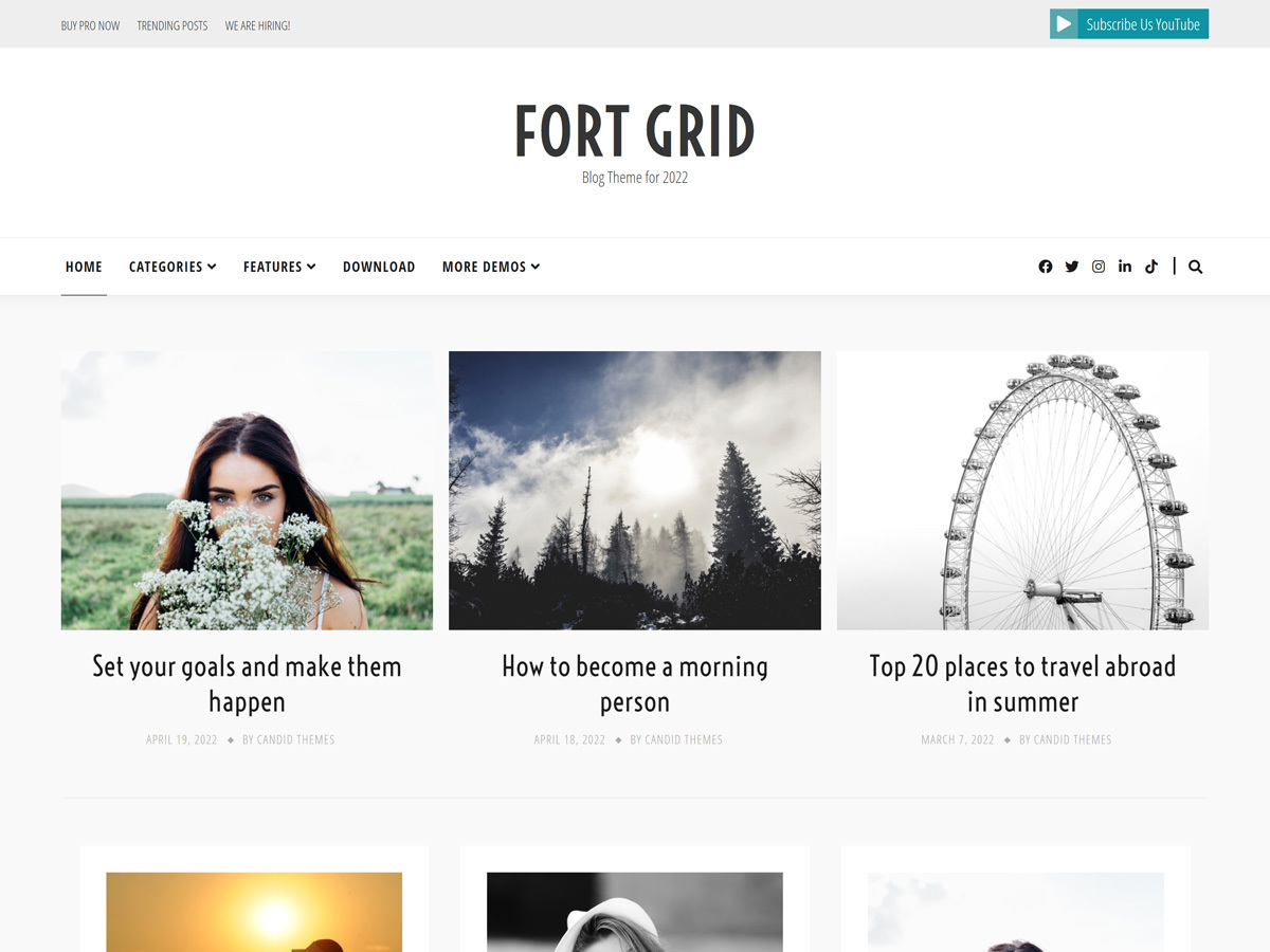 Fort Grid Preview Wordpress Theme - Rating, Reviews, Preview, Demo & Download