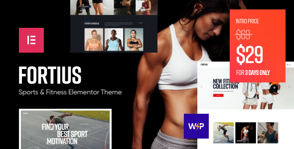 Fortius Preview Wordpress Theme - Rating, Reviews, Preview, Demo & Download