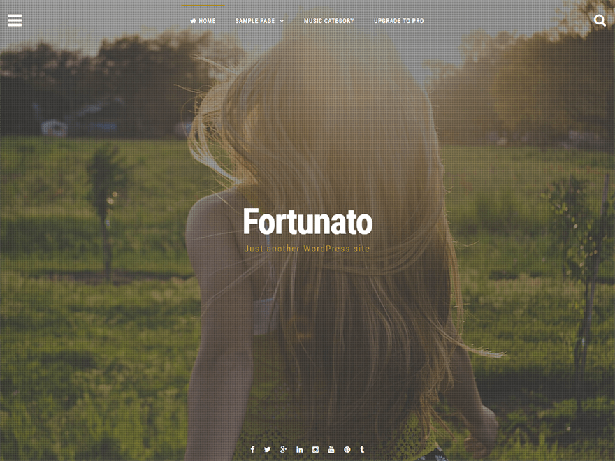 Fortunato Preview Wordpress Theme - Rating, Reviews, Preview, Demo & Download
