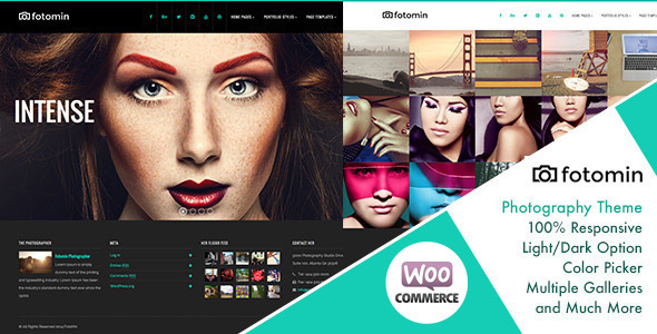 FotoMin Preview Wordpress Theme - Rating, Reviews, Preview, Demo & Download