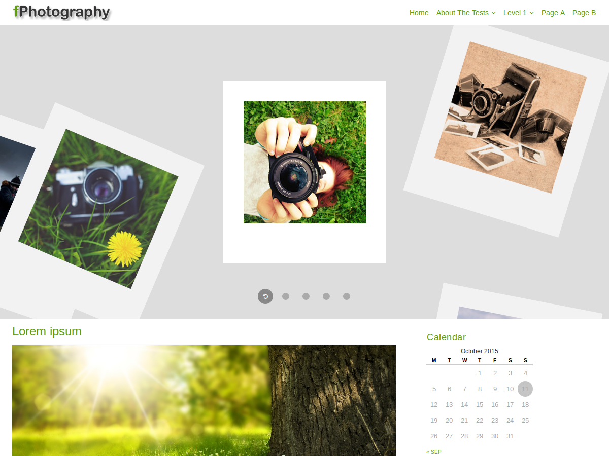 FPhotography Preview Wordpress Theme - Rating, Reviews, Preview, Demo & Download