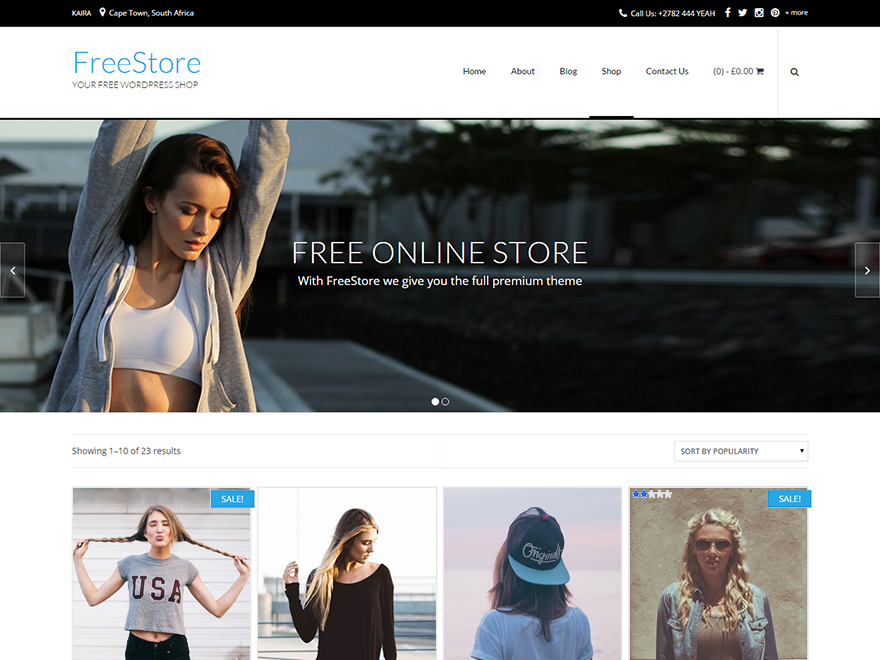 FreeStore Preview Wordpress Theme - Rating, Reviews, Preview, Demo & Download