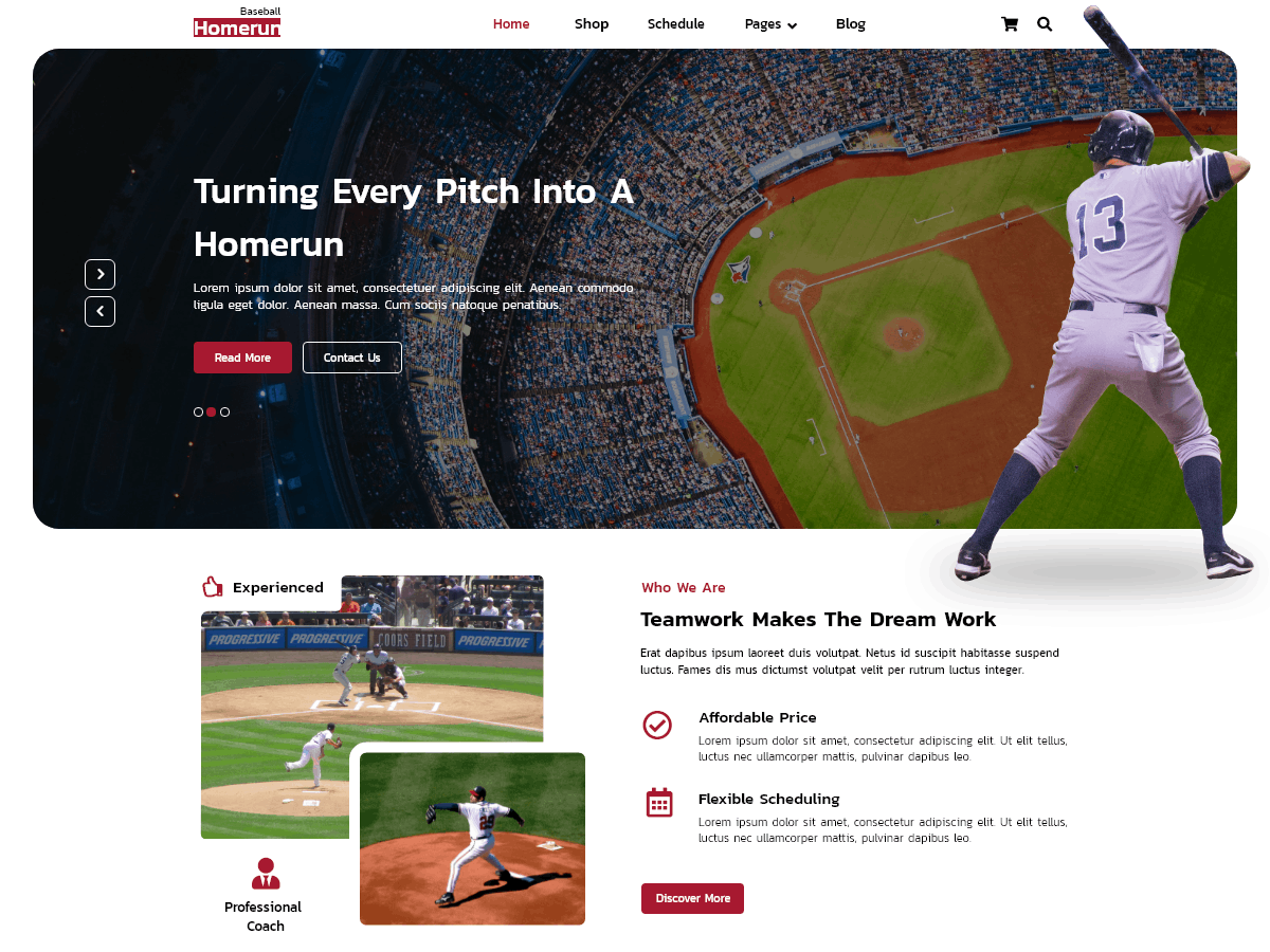 FSE Baseball Preview Wordpress Theme - Rating, Reviews, Preview, Demo & Download
