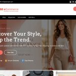 FSE ECommerce
