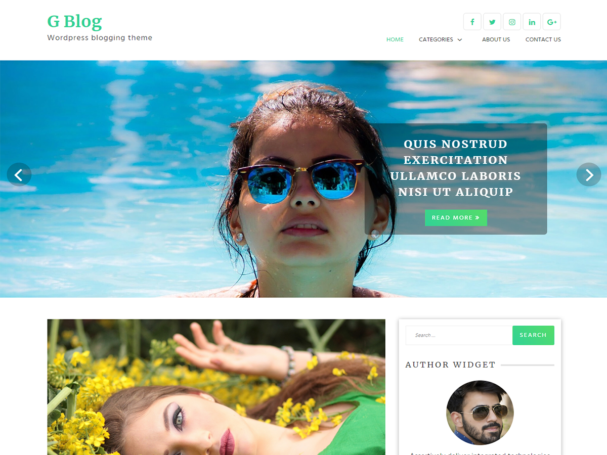 G Blog Preview Wordpress Theme - Rating, Reviews, Preview, Demo & Download