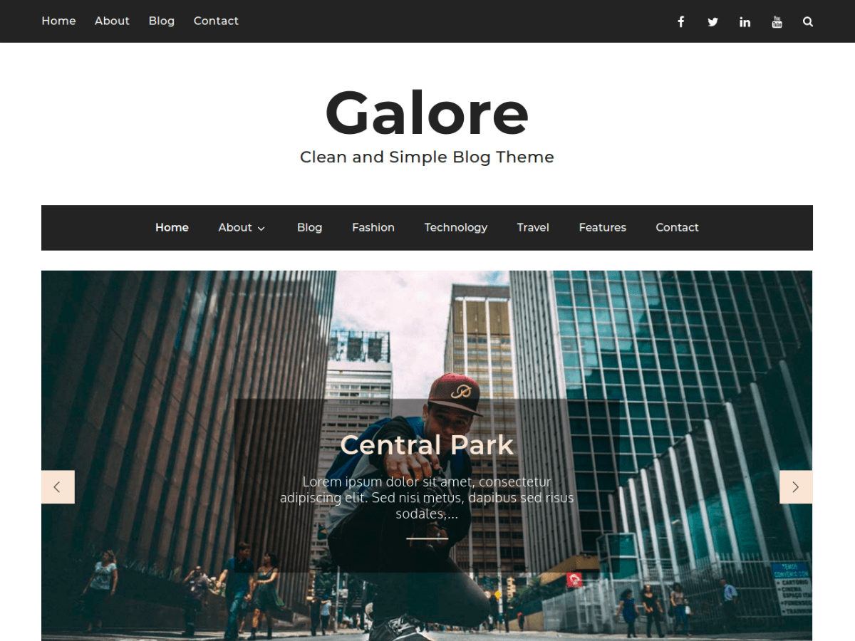 Galore Preview Wordpress Theme - Rating, Reviews, Preview, Demo & Download
