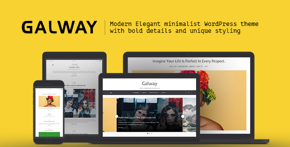 Galway Preview Wordpress Theme - Rating, Reviews, Preview, Demo & Download