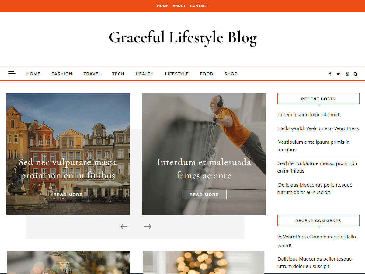 Graceful Lifestyle Preview Wordpress Theme - Rating, Reviews, Preview, Demo & Download