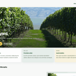 Green Vineyard