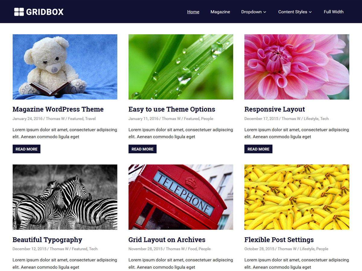 Gridbox Preview Wordpress Theme - Rating, Reviews, Preview, Demo & Download