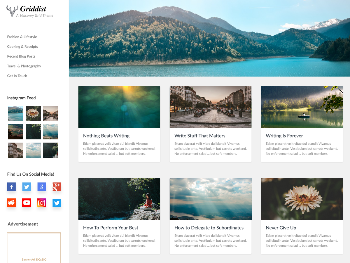 Griddist Preview Wordpress Theme - Rating, Reviews, Preview, Demo & Download