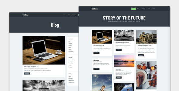 Gridline Preview Wordpress Theme - Rating, Reviews, Preview, Demo & Download