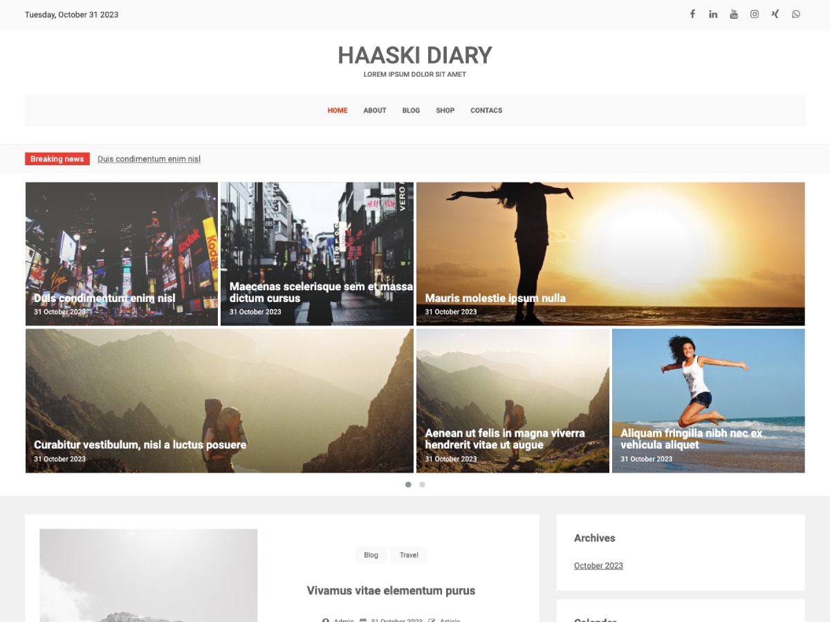 Haaski Diary Preview Wordpress Theme - Rating, Reviews, Preview, Demo & Download