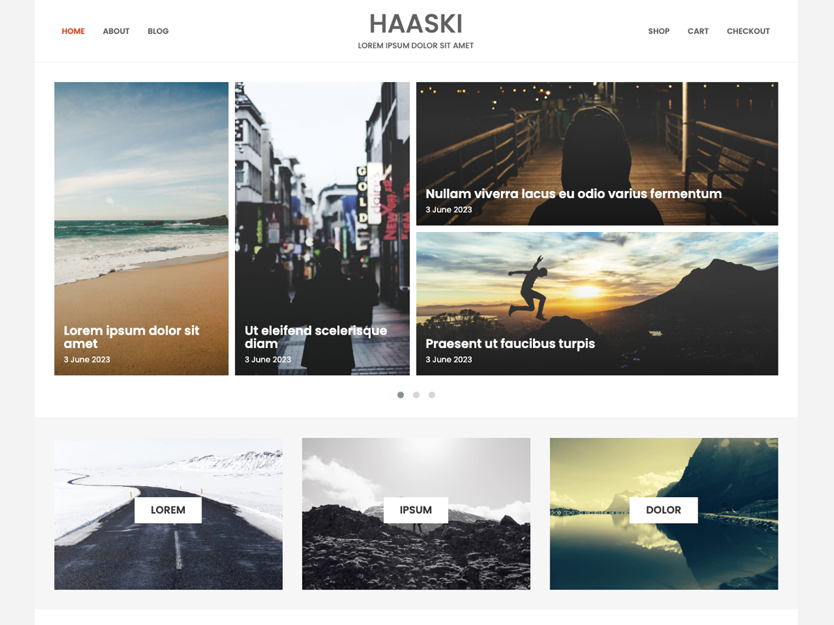 Haaski Lite Preview Wordpress Theme - Rating, Reviews, Preview, Demo & Download