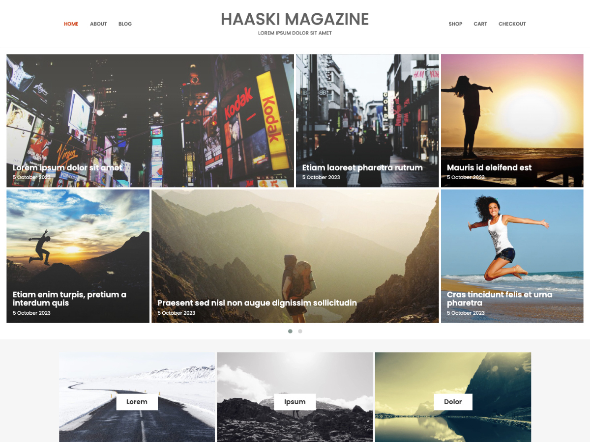 Haaski Magazine Preview Wordpress Theme - Rating, Reviews, Preview, Demo & Download