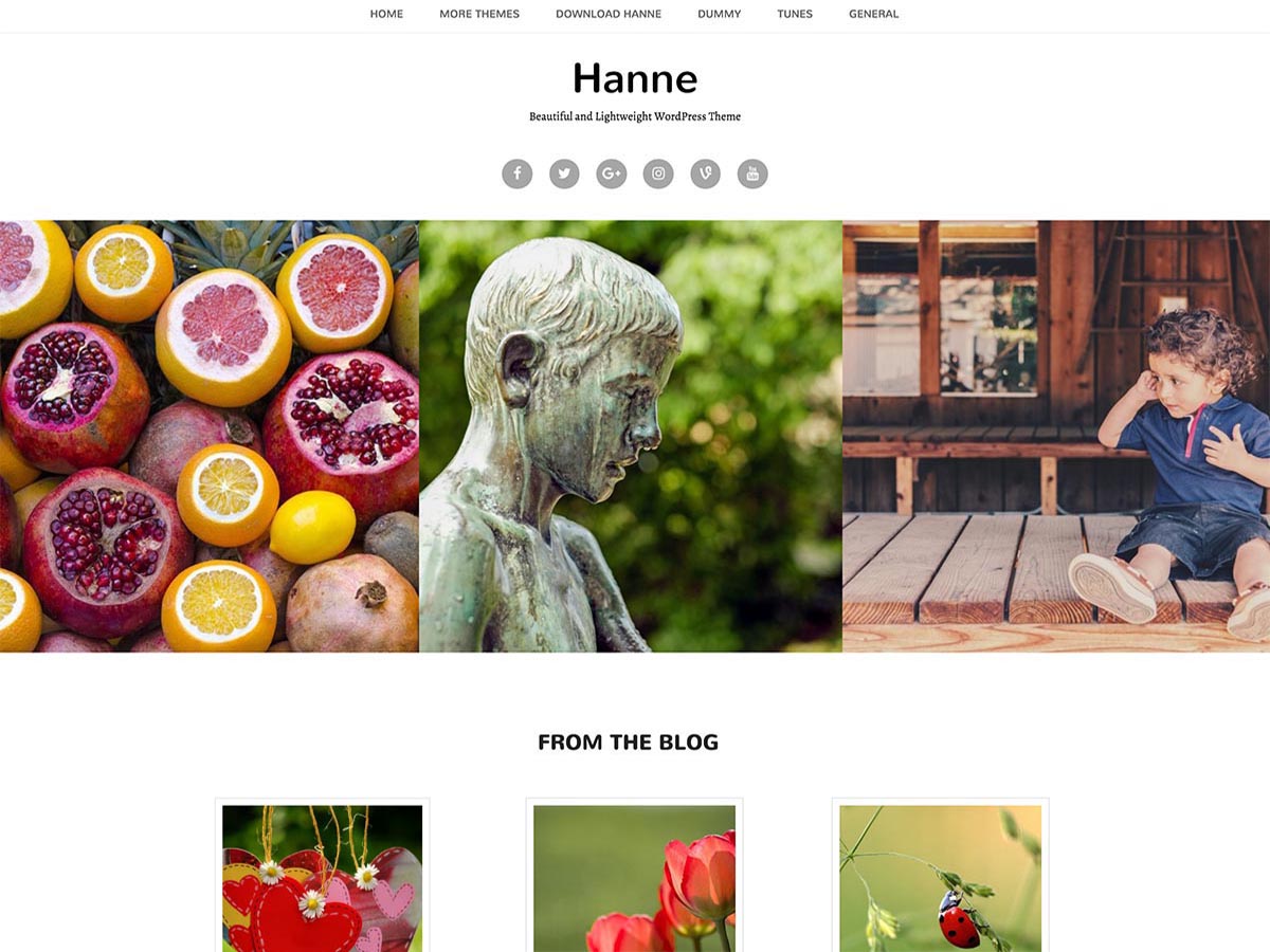 Hanne Preview Wordpress Theme - Rating, Reviews, Preview, Demo & Download