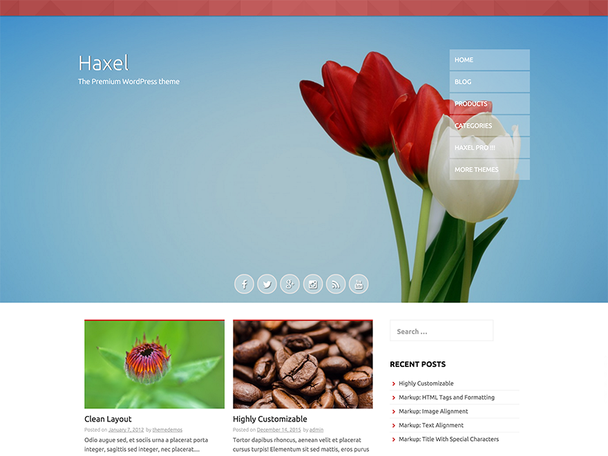 Haxel Preview Wordpress Theme - Rating, Reviews, Preview, Demo & Download