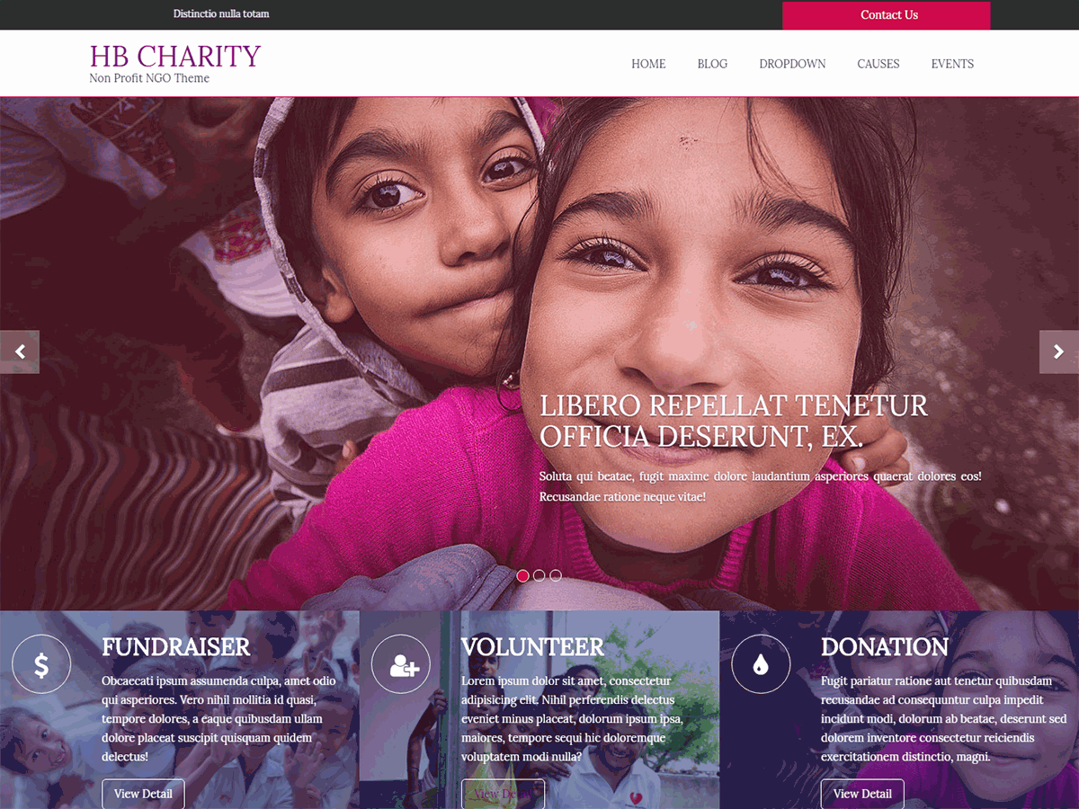 HB CHARITY Preview Wordpress Theme - Rating, Reviews, Preview, Demo & Download