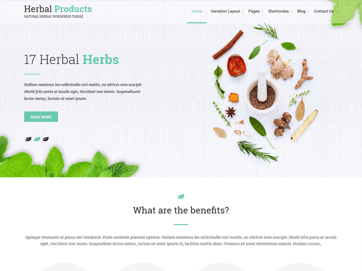 Herbal Lite Preview Wordpress Theme - Rating, Reviews, Preview, Demo & Download