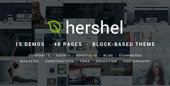 Hershel Preview Wordpress Theme - Rating, Reviews, Preview, Demo & Download