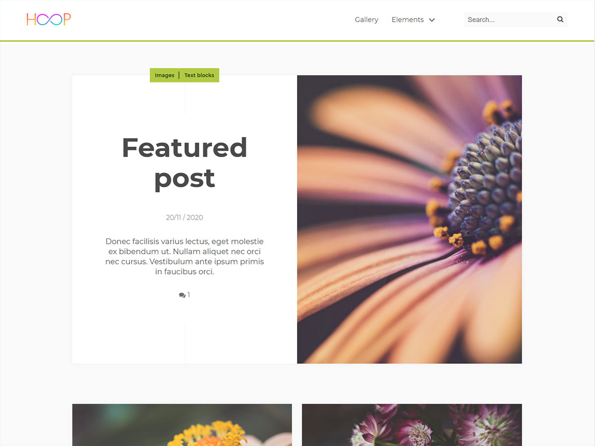 Hoop Preview Wordpress Theme - Rating, Reviews, Preview, Demo & Download