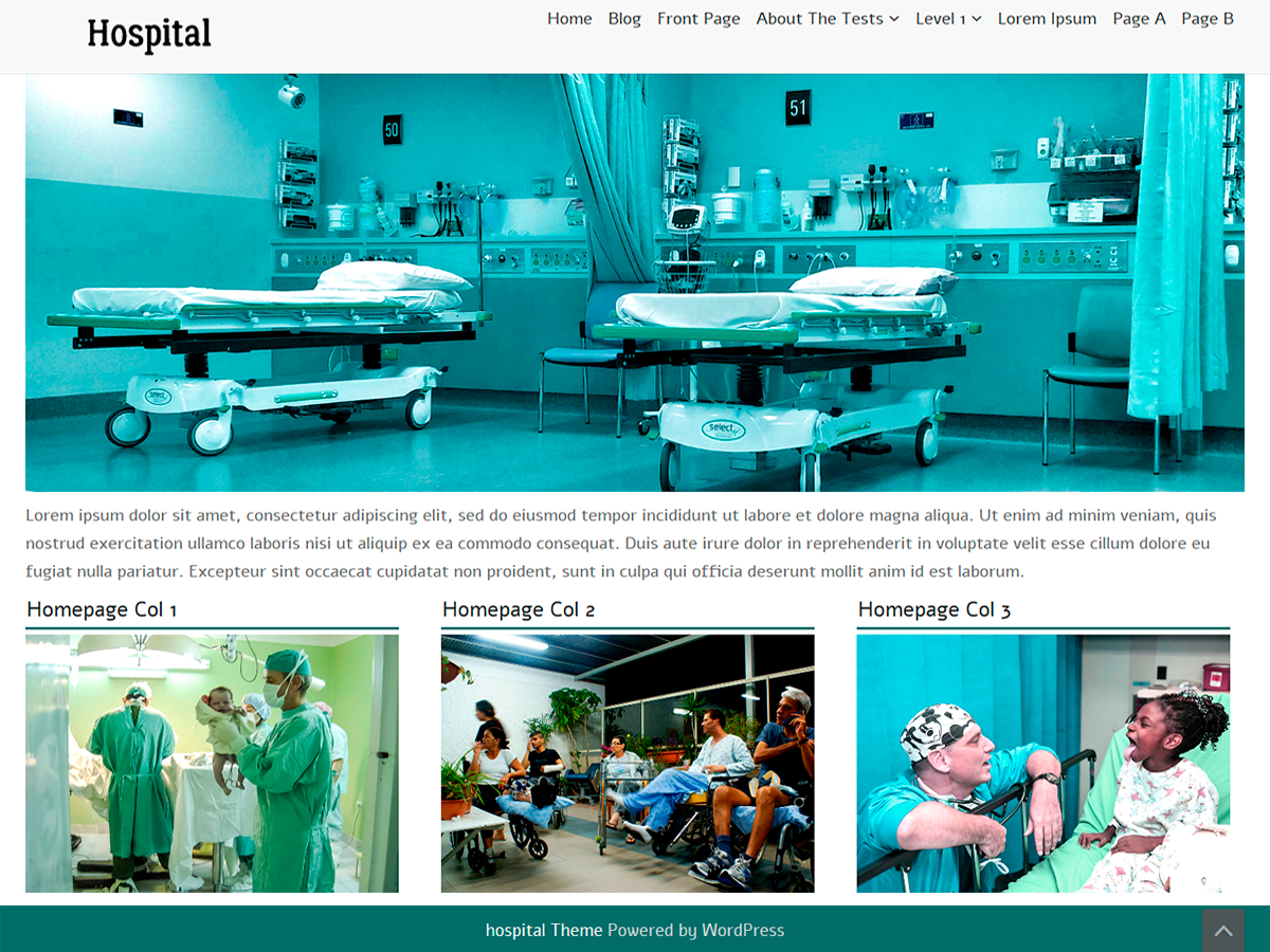 HospitalLight Preview Wordpress Theme - Rating, Reviews, Preview, Demo & Download