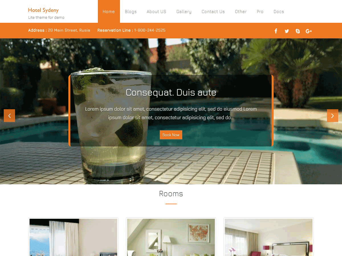 Hotel Sydney Preview Wordpress Theme - Rating, Reviews, Preview, Demo & Download