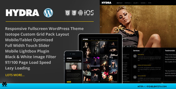 Hydra Preview Wordpress Theme - Rating, Reviews, Preview, Demo & Download