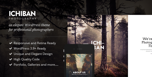 Ichiban Preview Wordpress Theme - Rating, Reviews, Preview, Demo & Download