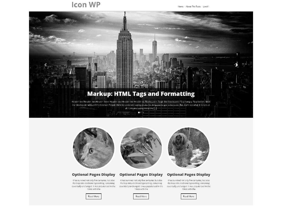 Icon WP Preview Wordpress Theme - Rating, Reviews, Preview, Demo & Download