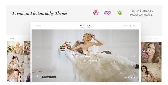 Illume Preview Wordpress Theme - Rating, Reviews, Preview, Demo & Download
