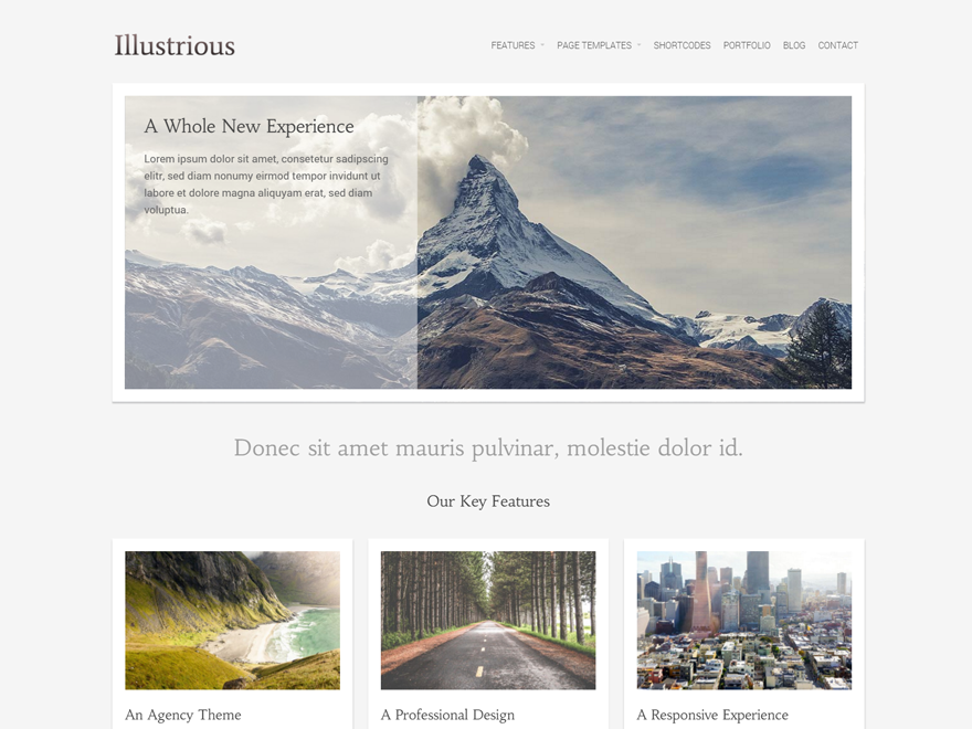 Illustrious Preview Wordpress Theme - Rating, Reviews, Preview, Demo & Download