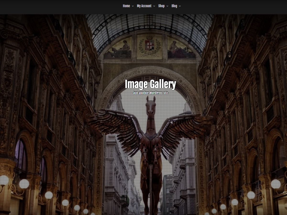 Image Gallery Preview Wordpress Theme - Rating, Reviews, Preview, Demo & Download