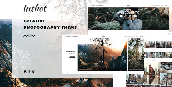 Inshot Preview Wordpress Theme - Rating, Reviews, Preview, Demo & Download